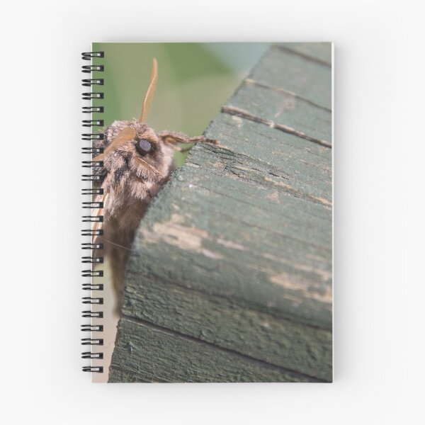 Item preview, Swallow Prominent designed and sold by LaurenTucker.