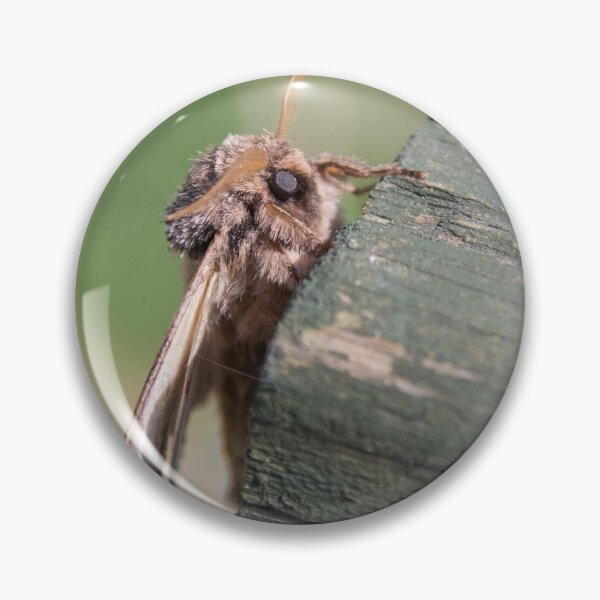 Item preview, Swallow Prominent designed and sold by LaurenTucker.