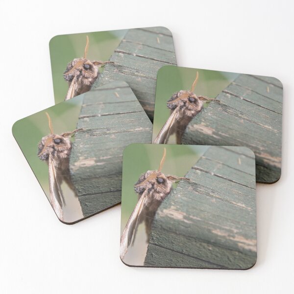 Item preview, Swallow Prominent designed and sold by LaurenTucker.