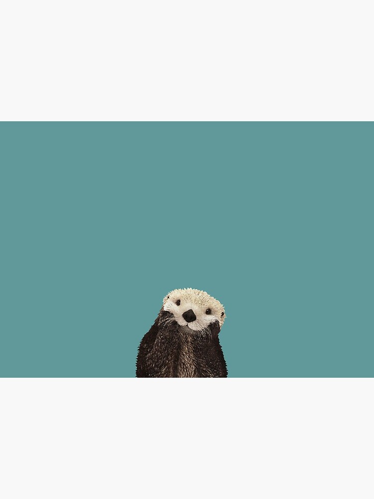 Cute Sea Otter on Teal Solid. Minimalist. Coastal. Adorable. by kierkegaard