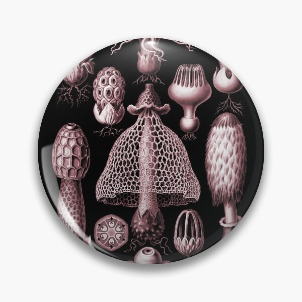Item preview, Ernst Haeckel - Basimycetes (Mushrooms) Golden Pink designed and sold by ShaMiLaB.