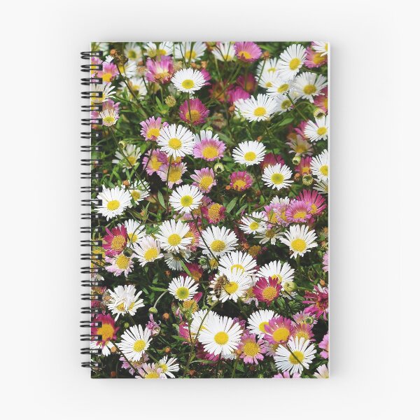 Item preview, Candy Coloured Daisies designed and sold by InterestingImag.