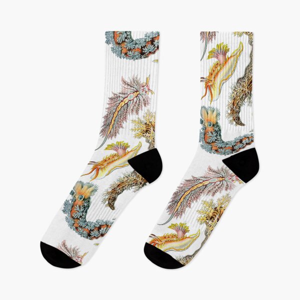 Item preview, Ernst Haeckel - Nudibranchia (Snails) designed and sold by ShaMiLaB.