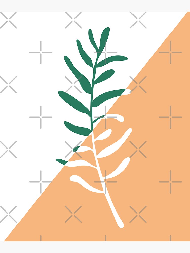 Modern minimal style olive tree branch illustration by sziszigraphics