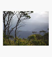 views by Devils Gullet Photographic Print