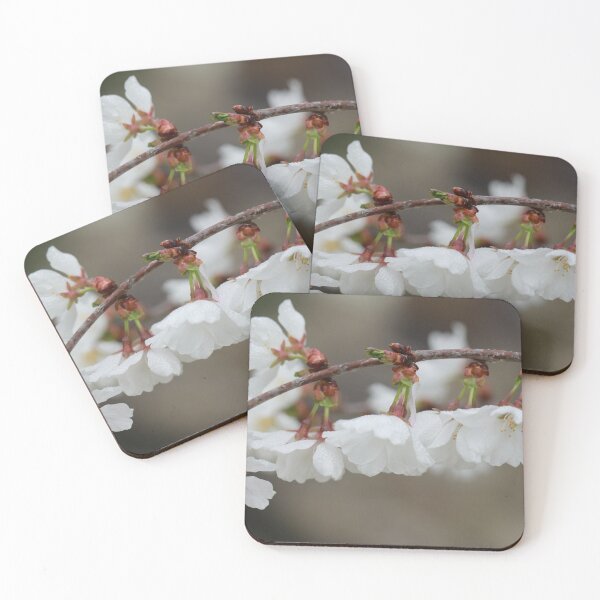 Item preview, Weeping Cherry Blossoms designed and sold by StampCity.