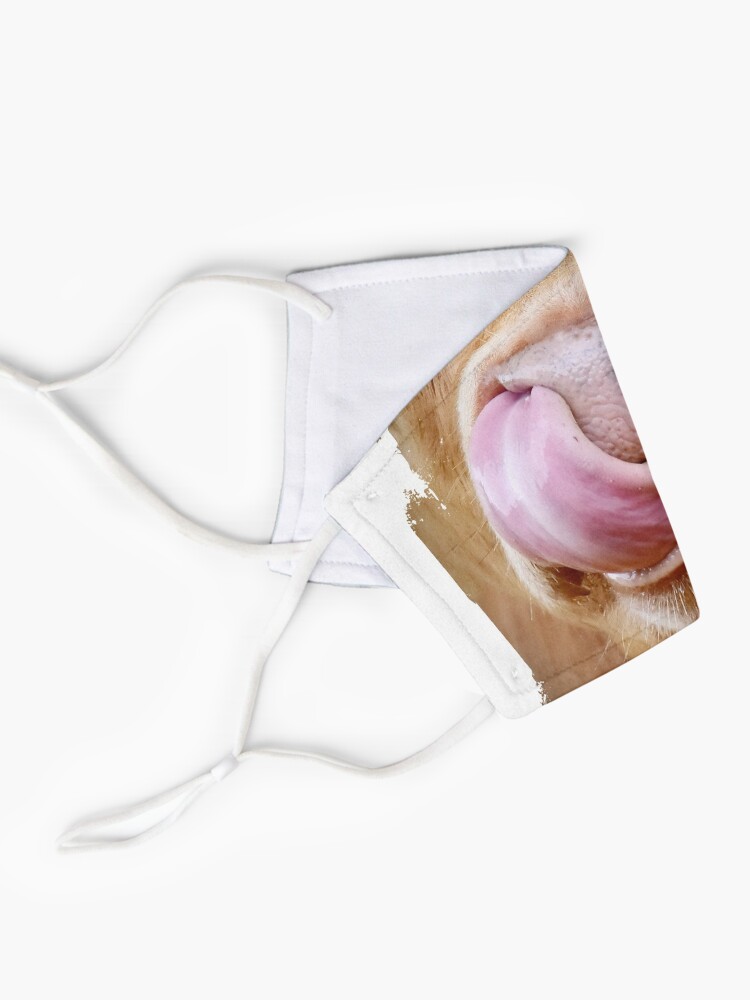 Alternative Ansicht von Muh ! Maske