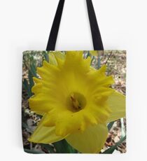 Yellow Daffodil Tote Bag