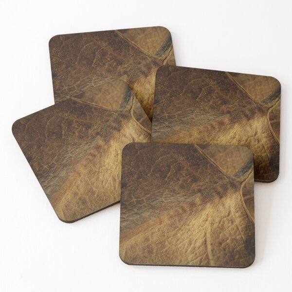 Item preview, Dry Leaves Macro designed and sold by stephenralph.