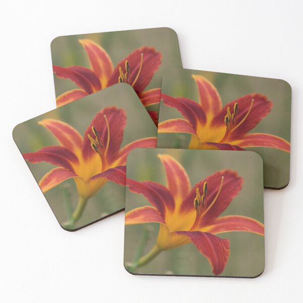 Item preview, Orange Daylily designed and sold by StampCity.
