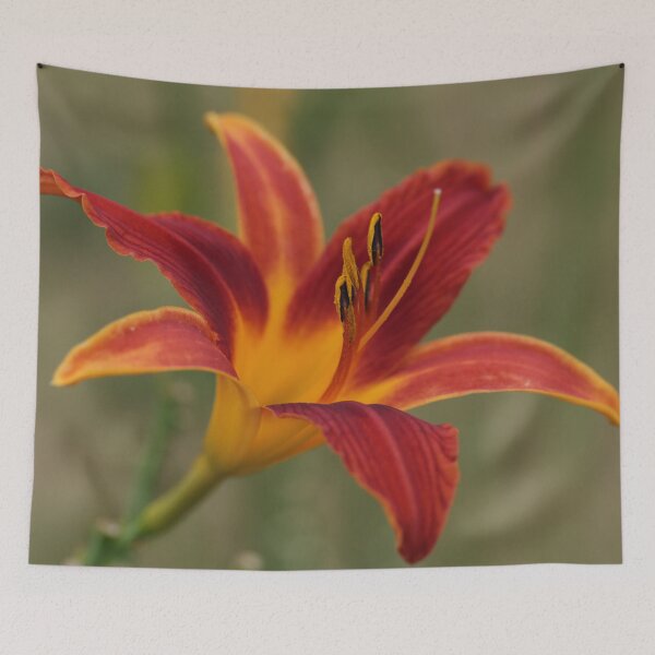 Item preview, Orange Daylily designed and sold by StampCity.