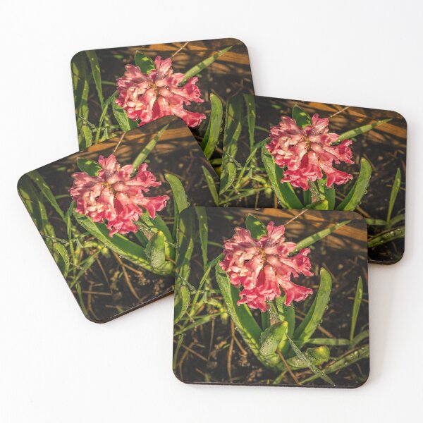 Item preview, A Pink Hyacinth After the Rain designed and sold by Bryan Spellman.
