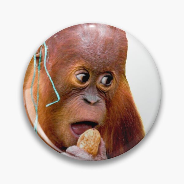 Item preview, Aint I cute! designed and sold by Dalyndigital Photography.