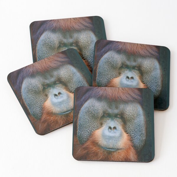 Item preview, Rudi designed and sold by Savannah Gibbs.