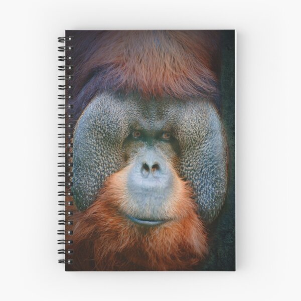 Item preview, Rudi designed and sold by Savannah Gibbs.