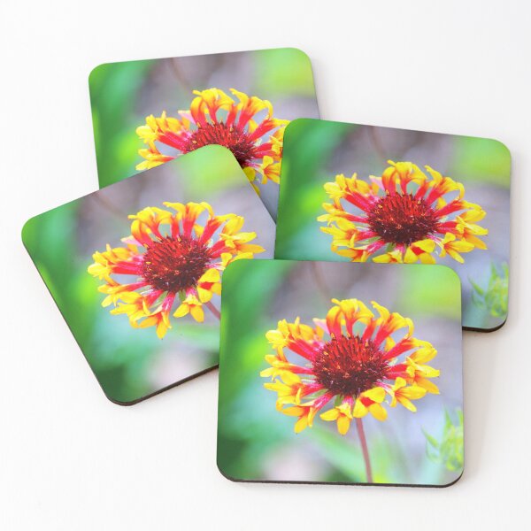 Item preview, Time To Shine Coneflower designed and sold by Cynthia48.