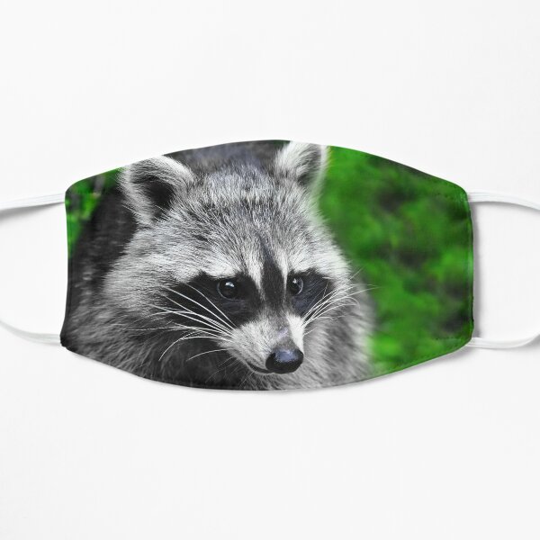 raccoon face mask