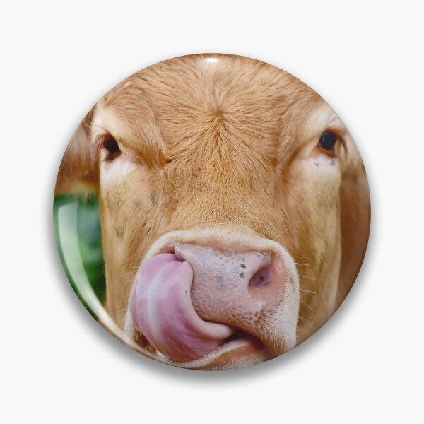 Item preview, Semi-strong beef designed and sold by Glineur.