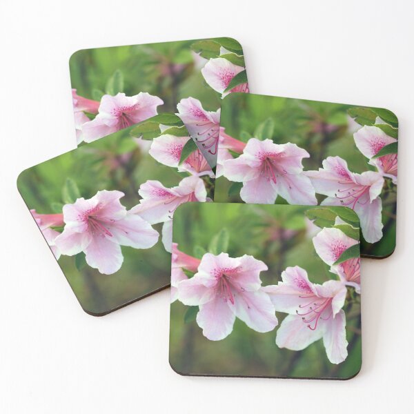 Item preview, Azalea designed and sold by StampCity.