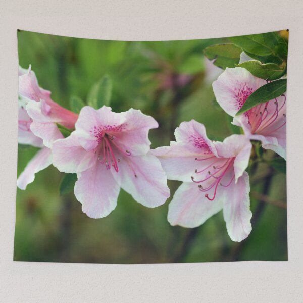 Item preview, Azalea designed and sold by StampCity.