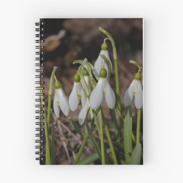 Item preview, Snowdrops designed and sold by mishu78.