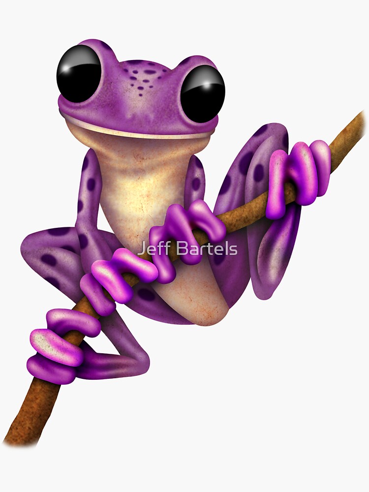 purple tree frog womens gym tank