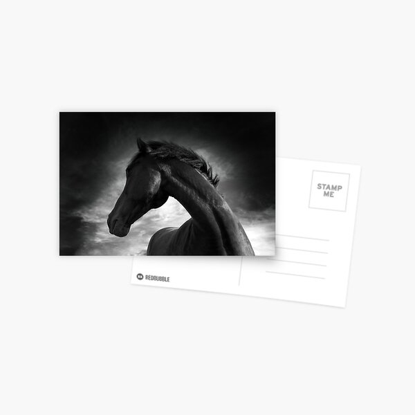 "Freedom" Postcard