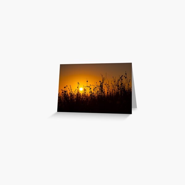 Dawn Greeting Card