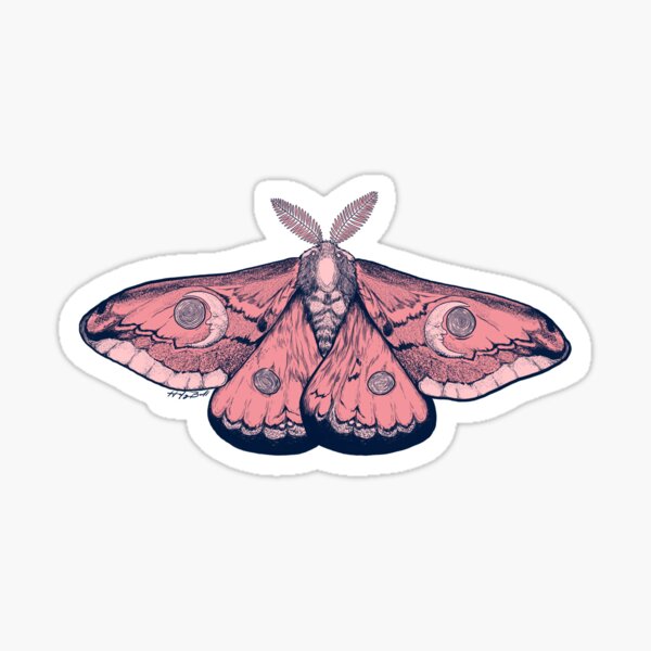 Moth sticker