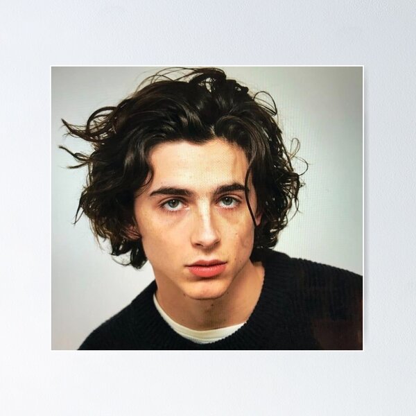 Item preview, Timothee chalamet  designed and sold by hala-.
