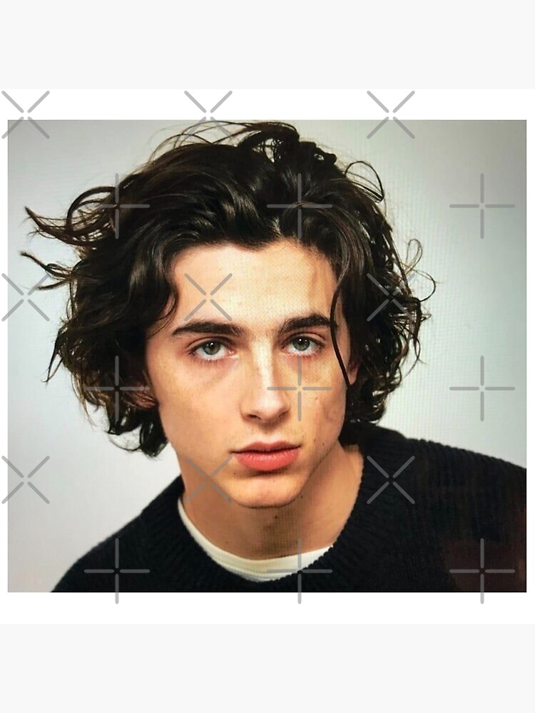 Timothee Chalamet Photoshoot | Art Board Print