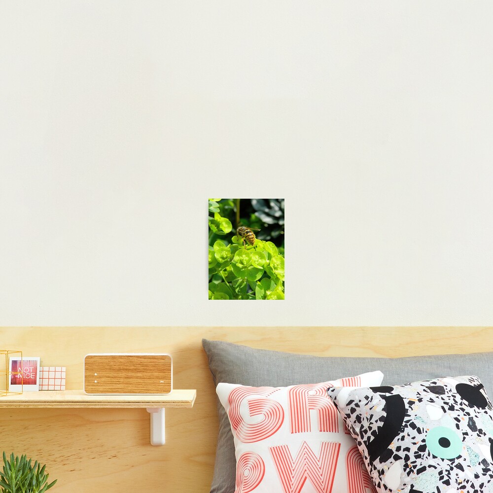 Item preview, Photographic Print designed and sold by bertie01.