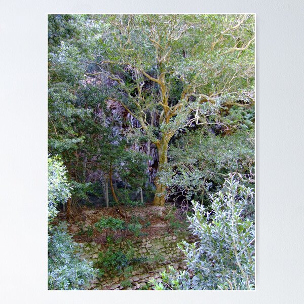 Item preview, Ummm... a tree designed and sold by croust.