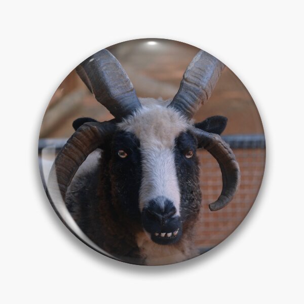 Item preview, Jacob Sheep designed and sold by Savannah Gibbs.