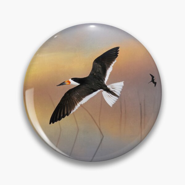 Item preview, Black Skimmer at Sunset designed and sold by FineArtography.