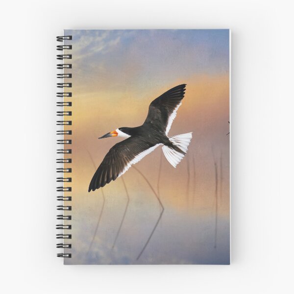 Item preview, Black Skimmer at Sunset designed and sold by FineArtography.