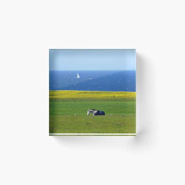 Item preview, Spring at the Baltic Sea designed and sold by jchanders.