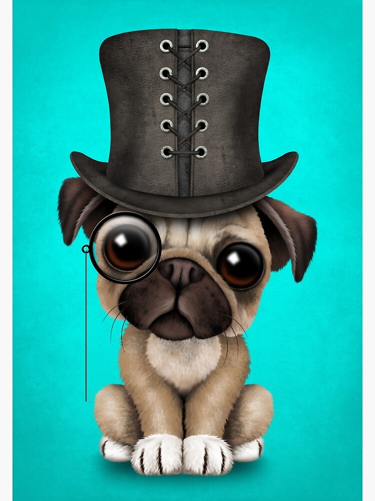 Pug in hotsell a top hat