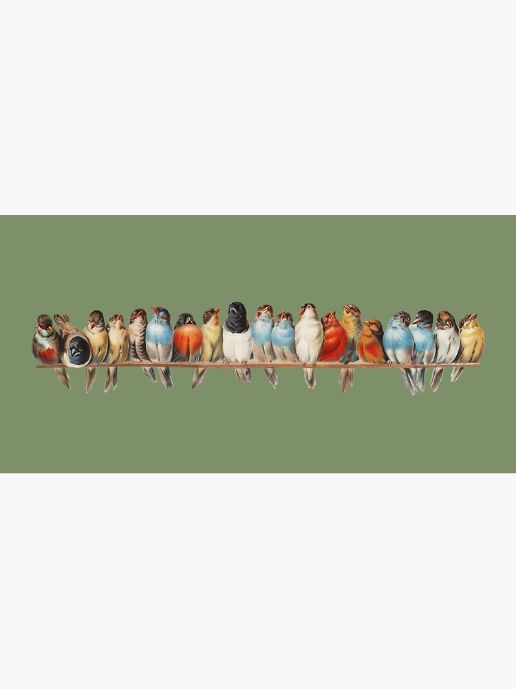 "A perch of birds tropical bird illustration Hector Sticker for Sale by