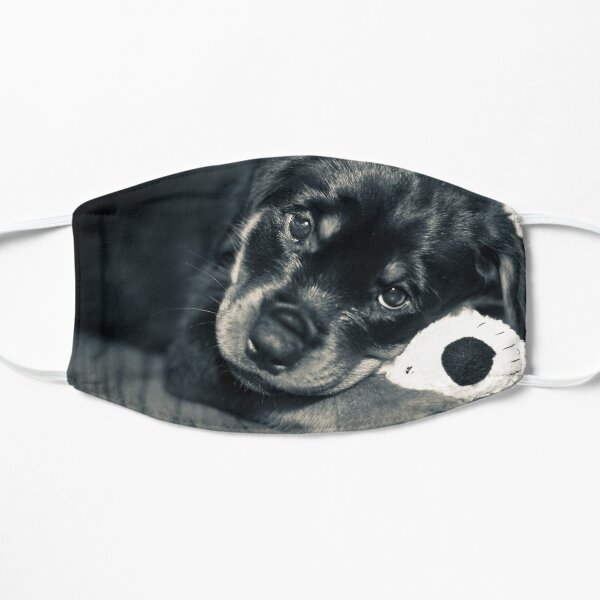 Dog Mask