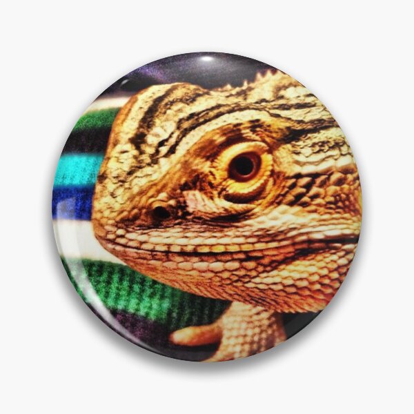 Item preview, Blanket Beardie designed and sold by DilloStudios.