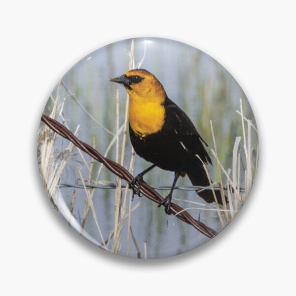 Item preview, Yellow-Headed Blackbird, Malheur National Wildlife Refuge designed and sold by AvocaSpring.