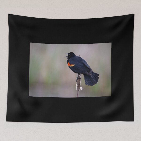 Item preview, Redwing Blackbird, Spring Song designed and sold by AvocaSpring.