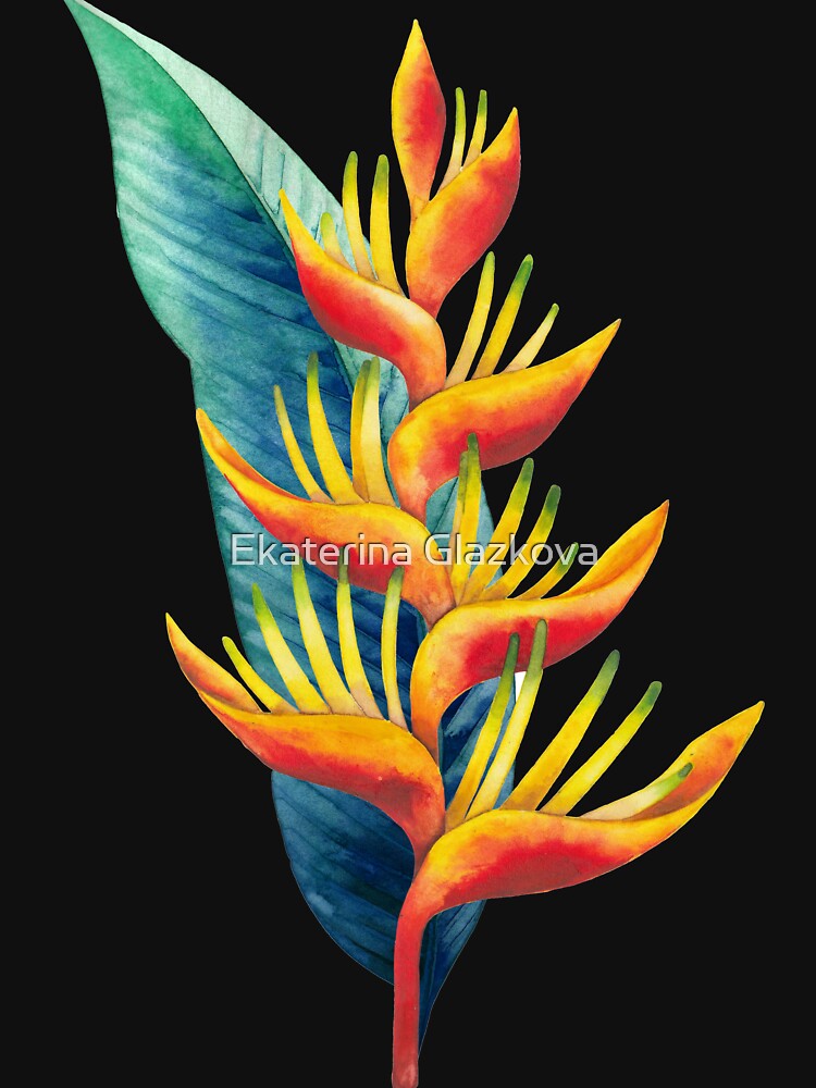 Watercolor heliconia by Glazkova