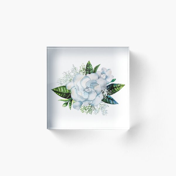 Watercolor gardenia and gypsophila vignette Acrylic Block