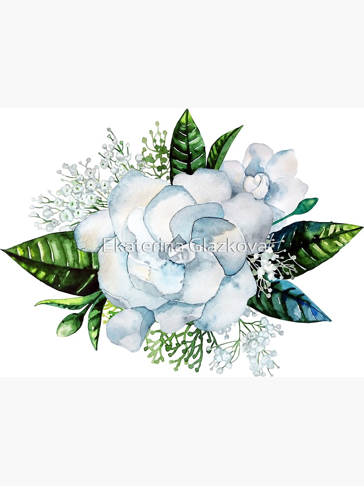 Watercolor gardenia and gypsophila vignette