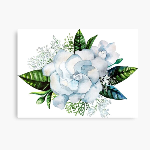 Watercolor gardenia and gypsophila vignette Canvas Print
