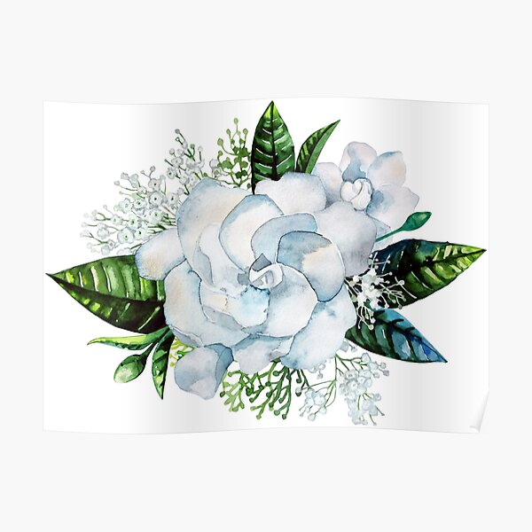 Watercolor gardenia and gypsophila vignette Poster