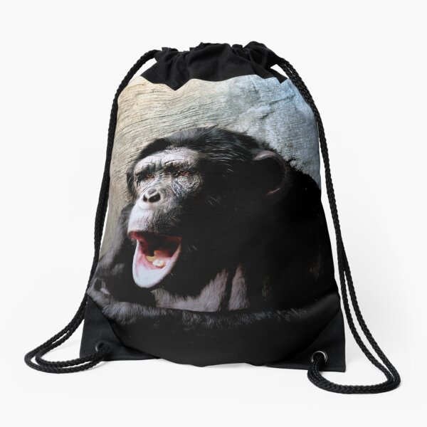 Chimpanzé Sac à cordon