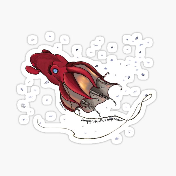 Vampire Squid Sticker